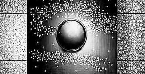 Ripple Prime’s Hedgeweek Nominations: A Macro-Level Signal of Stagnation, Not Breakthrough