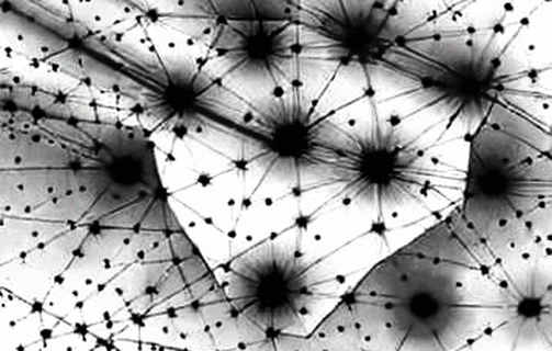 The $206,000 Signal: What a Kansas Wealth Manager's XRP ETF Bet Really Tells Us